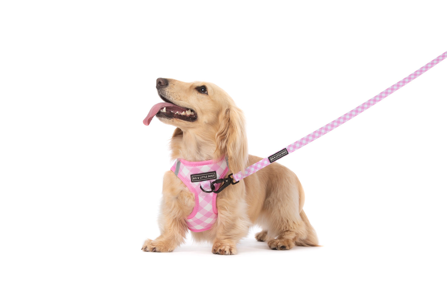 STEP-IN DOG HARNESS: Pink Milk Gingham