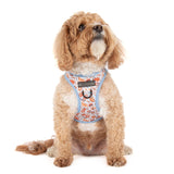 STEP-IN DOG HARNESS: Rodeo King