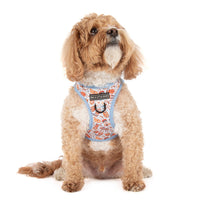 STEP-IN DOG HARNESS: Rodeo King
