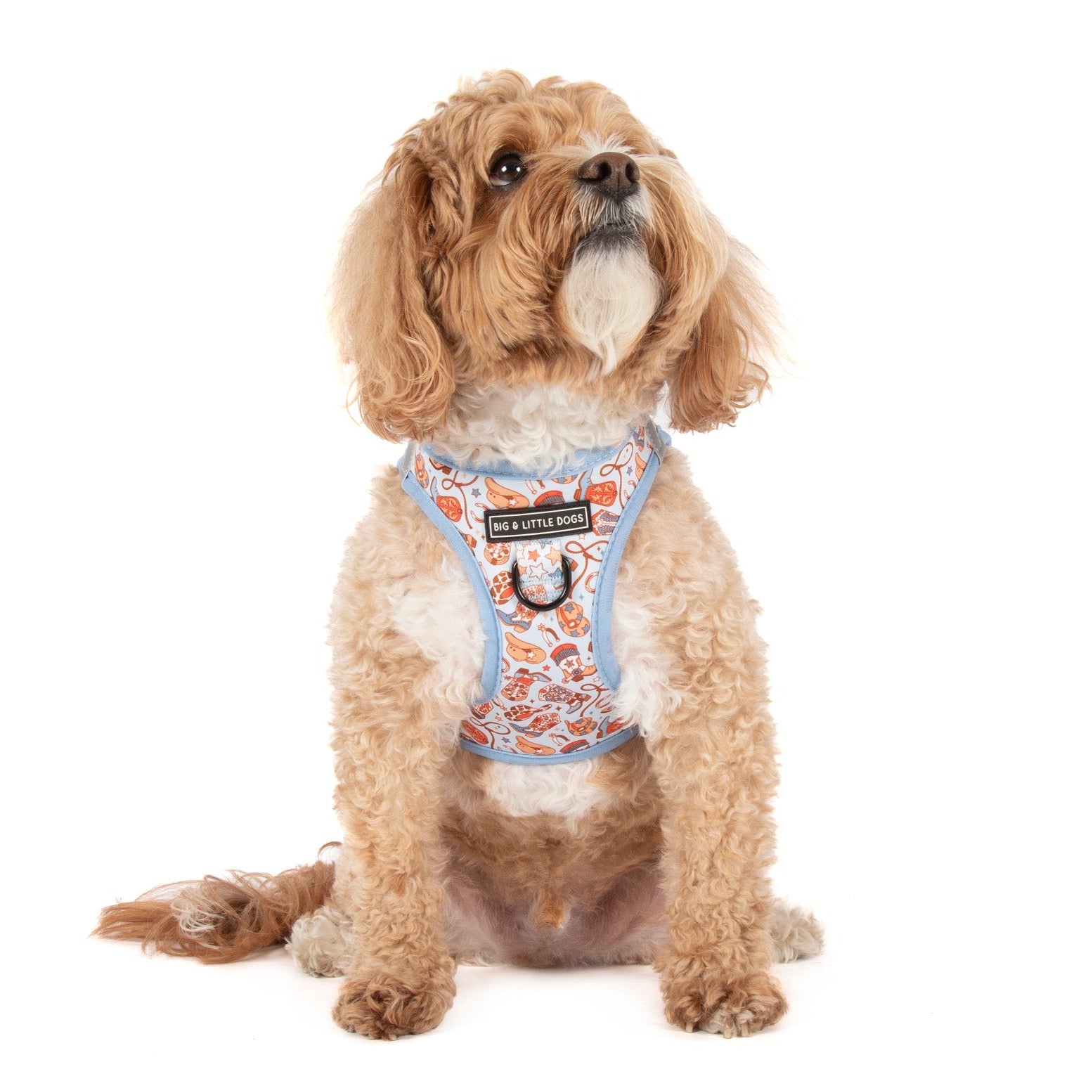 STEP-IN DOG HARNESS: Rodeo King