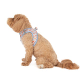 STEP-IN DOG HARNESS: Rodeo King