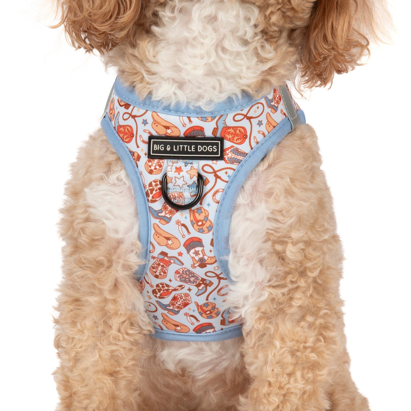 STEP-IN DOG HARNESS: Rodeo King