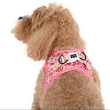 STEP-IN DOG HARNESS: Rodeo Queen