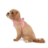 STEP-IN DOG HARNESS: Rodeo Queen