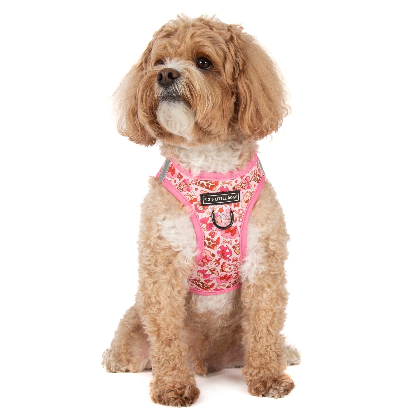 STEP-IN DOG HARNESS: Rodeo Queen