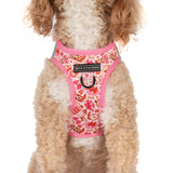 STEP-IN DOG HARNESS: Rodeo Queen