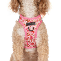 STEP-IN DOG HARNESS: Rodeo Queen