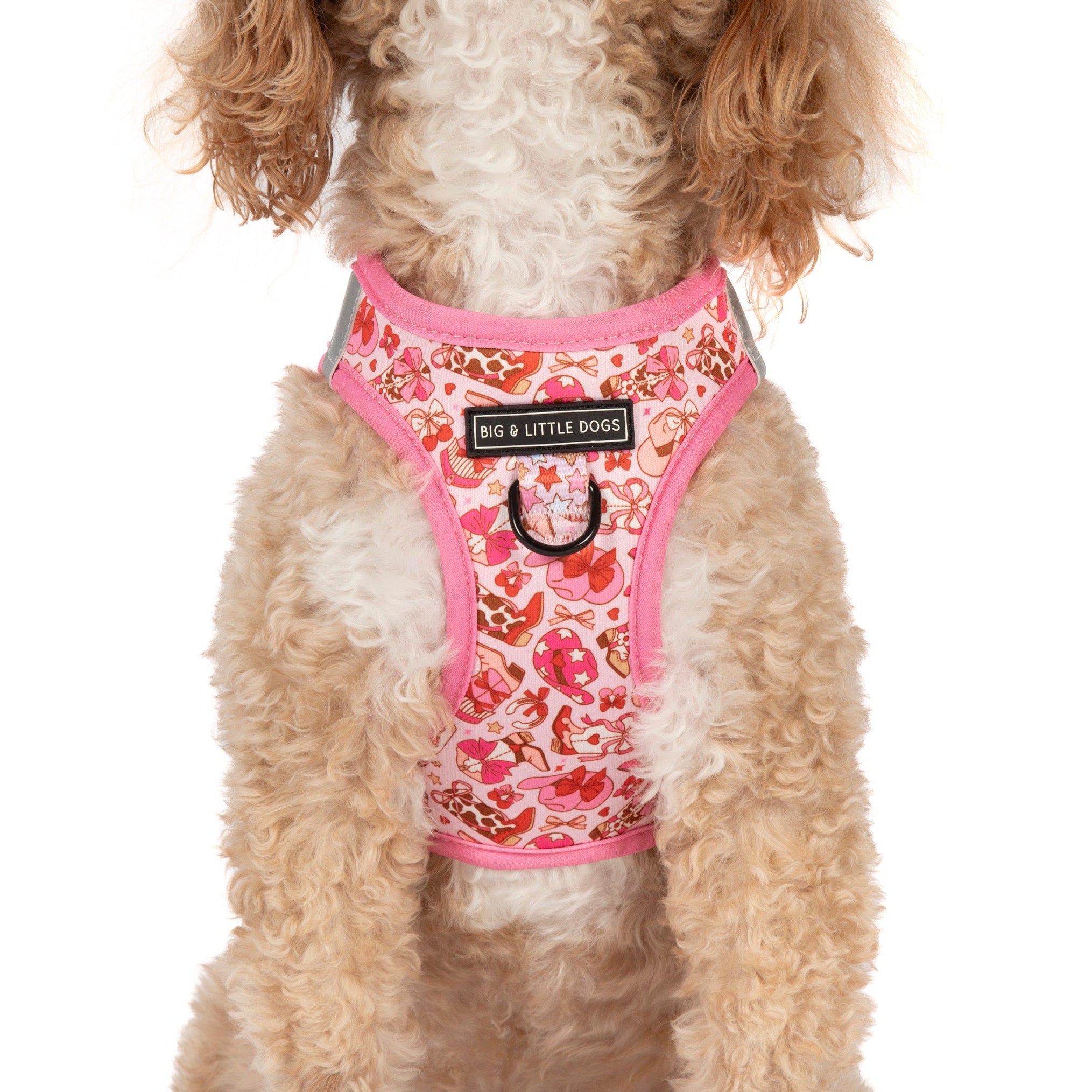 STEP-IN DOG HARNESS: Rodeo Queen