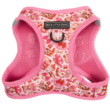 STEP-IN DOG HARNESS: Rodeo Queen