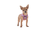 STEP-IN DOG HARNESS: Spring Fling
