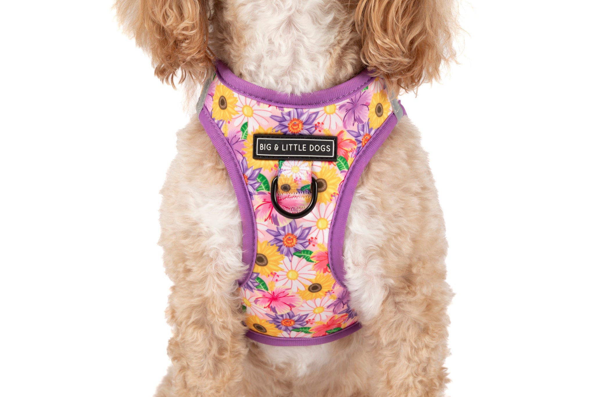 STEP-IN DOG HARNESS: Spring Fling