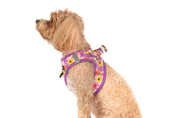 STEP-IN DOG HARNESS: Spring Fling