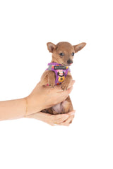 STEP-IN DOG HARNESS: Spring Fling