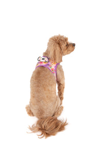 STEP-IN DOG HARNESS: Spring Fling