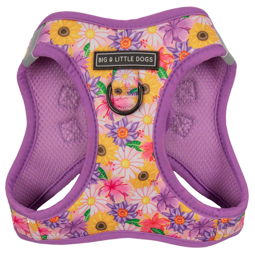 STEP-IN DOG HARNESS: Spring Fling