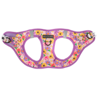 STEP-IN DOG HARNESS: Spring Fling