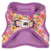 STEP-IN DOG HARNESS: Spring Fling
