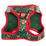 CHRISTMAS EXTRAVAGANZA BOX: "A Beary Merry Christmas" (Step-In Harness & Collar)