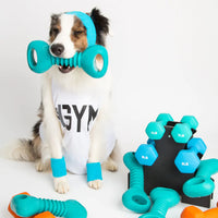 ZIPPY PAWS: ZippyTuff Squeakerz Teether - Dumbbell