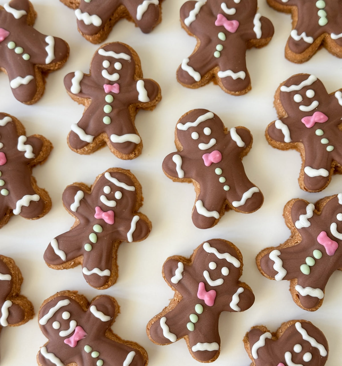 DOG TREATS | The Organic Dog Co: Carob Iced Gingerbread Man (1 Pce)