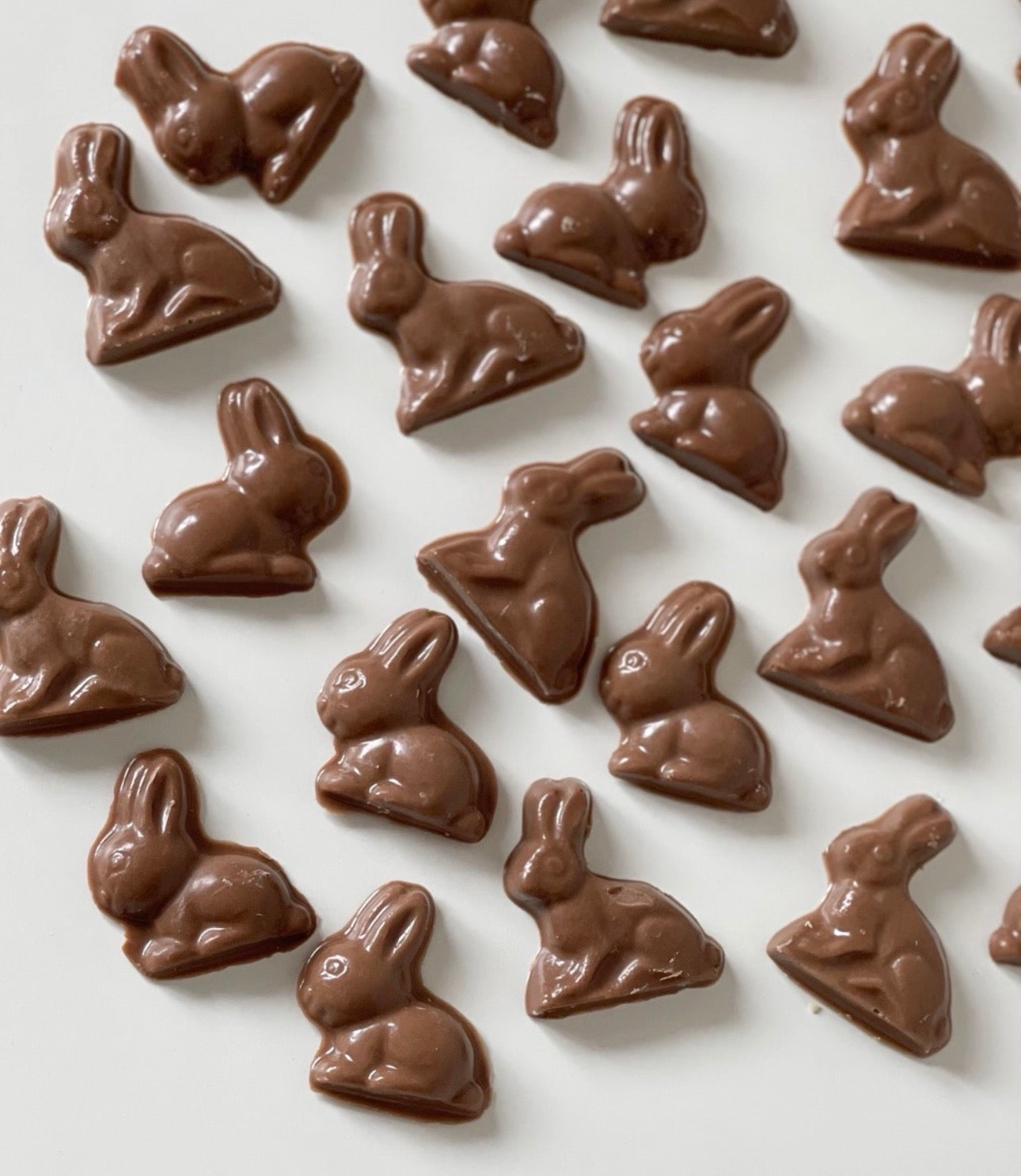 DOG TREATS | The Organic Dog Co: Easter Coconut Bunnies (220g Pkt)