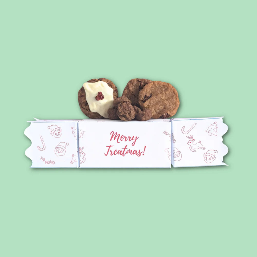 DOG TREATS | Biggies Raw Pantry: Christmas Bon Bon - Chicken