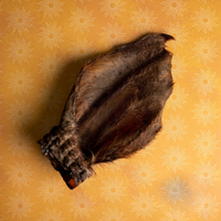 Pick 'n' Mix | Furry Beef Ear | 1 Pce