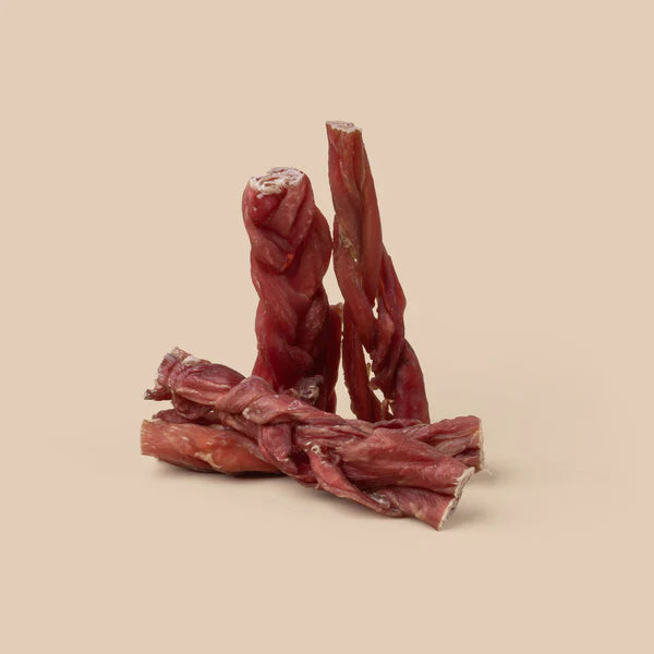 DOG TREATS | WAG: Braided Bully Festive Treats Tube