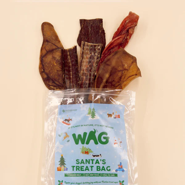 DOG TREATS | WAG: Santa's Treat Bag