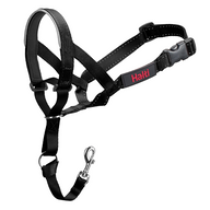 HALTI: Dog Headcollar (Black)