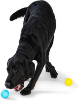 West Paw: Boundr Ball - Aqua / Dandelion 2 PACK