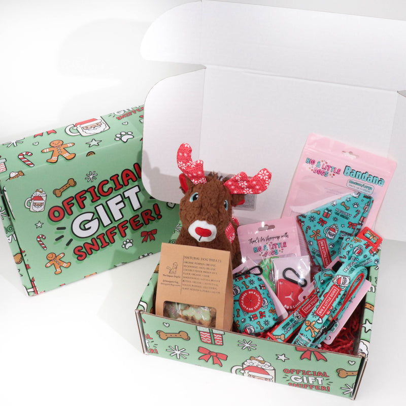 CHRISTMAS EXTRAVAGANZA BOX: "Official Gift Sniffer" Collar