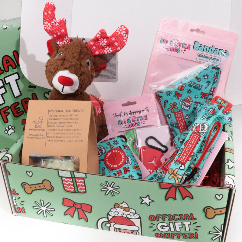 CHRISTMAS EXTRAVAGANZA BOX: "Official Gift Sniffer" Collar