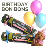 Pet Botanica: Dog Birthday Bon Bon (Pink Ribbons)