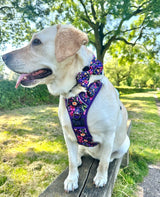 THE ALL-ROUNDER DOG HARNESS: Petal Paradise