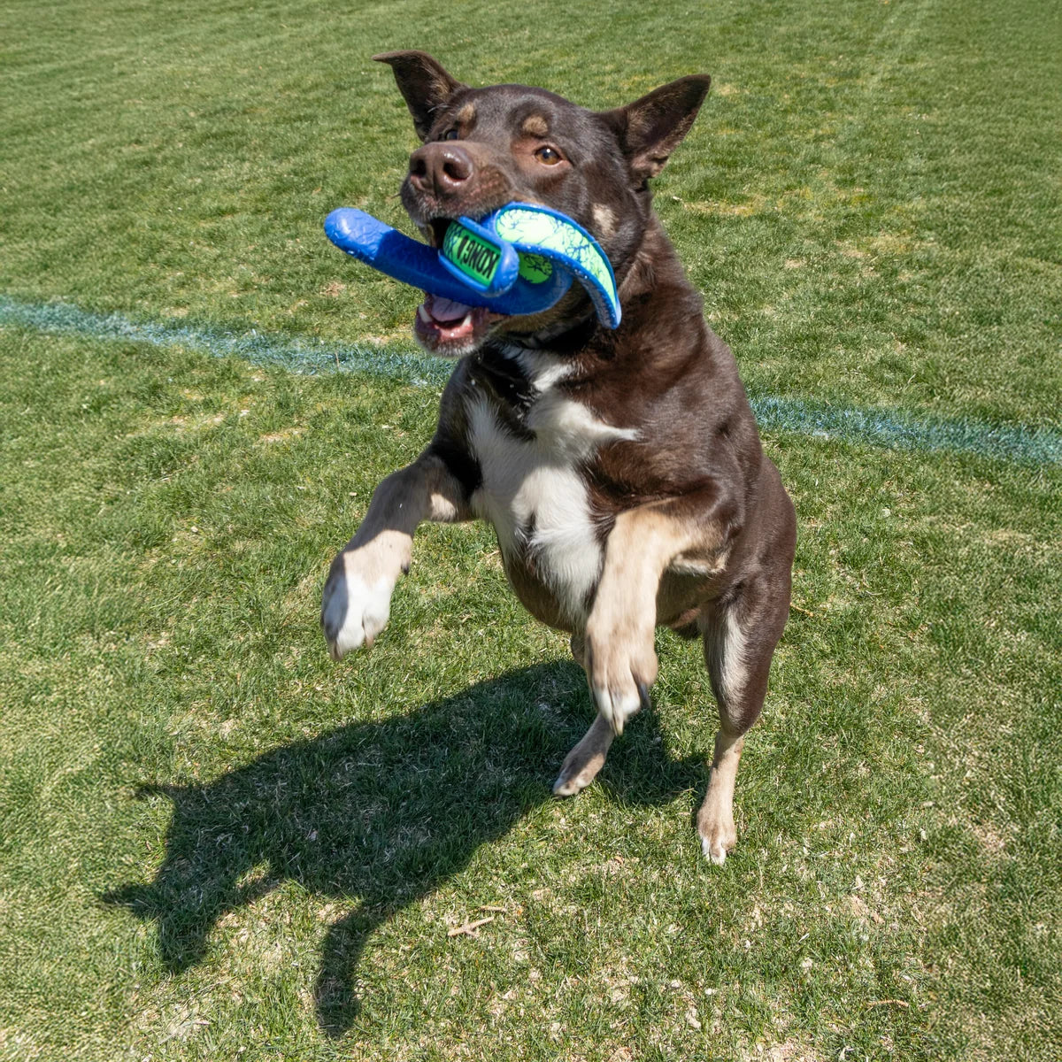 KONG: Whirlz Throw (Med/Large)