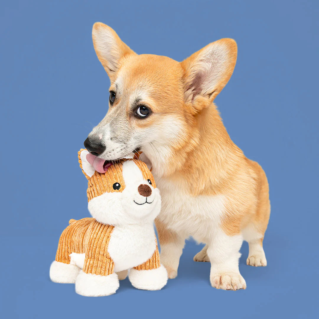 Giftable World: 11" Thiccums The Corgi
