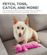 Outward Hound: Lil' Dudes - Pig