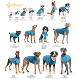 DOG STRETCH FLEECE | Goldpaw: Avocado