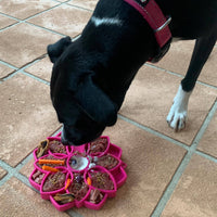 Soda Pup: Mandala eTray Slow Feeder eTray: Pink