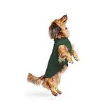 Goldpaw: DOG STRETCH FLEECE | Hunter Green