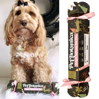 Pet Botanica: Dog Birthday Bon Bon (Pink Ribbons)