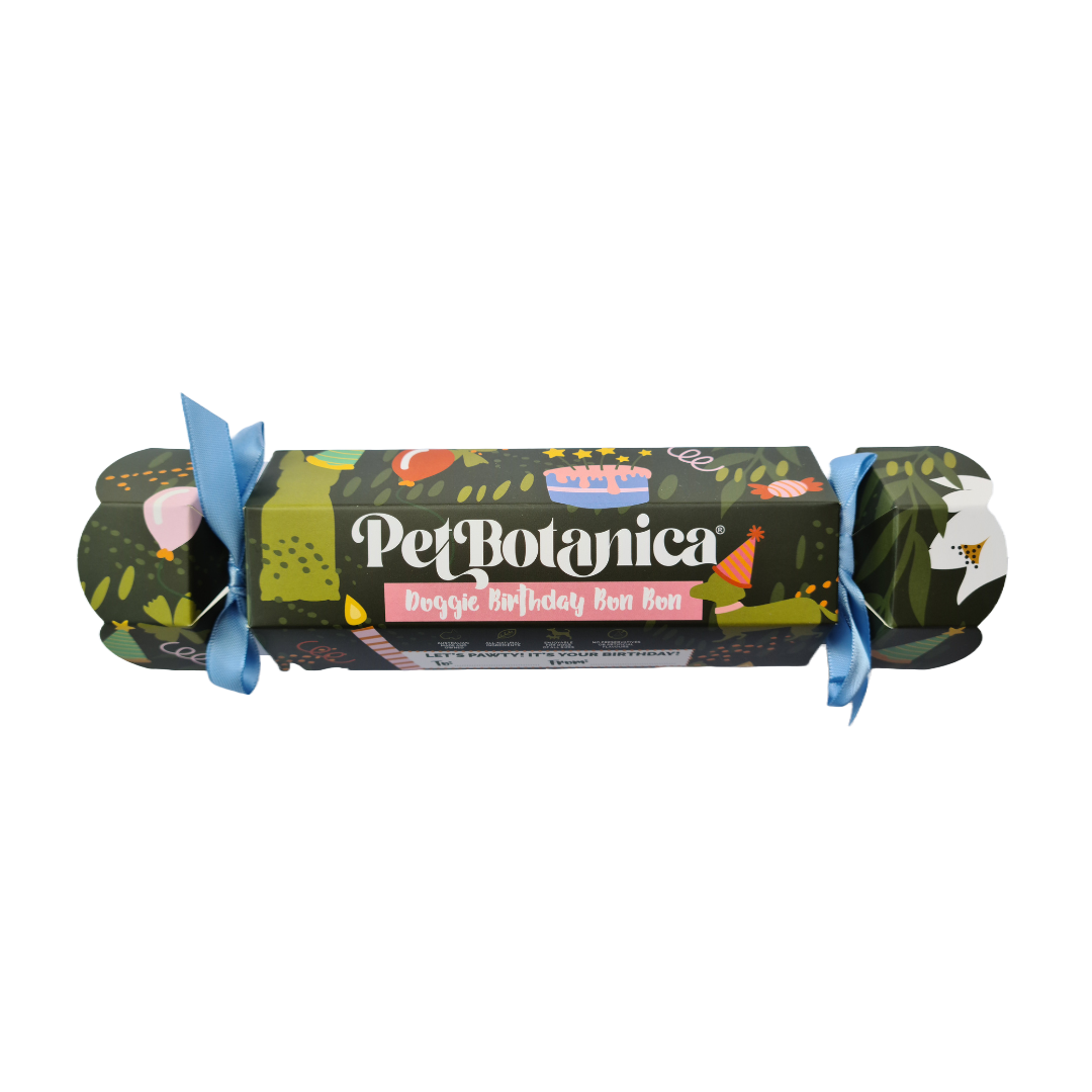 Pet Botanica: Dog Birthday Bon Bon (Blue Ribbons)