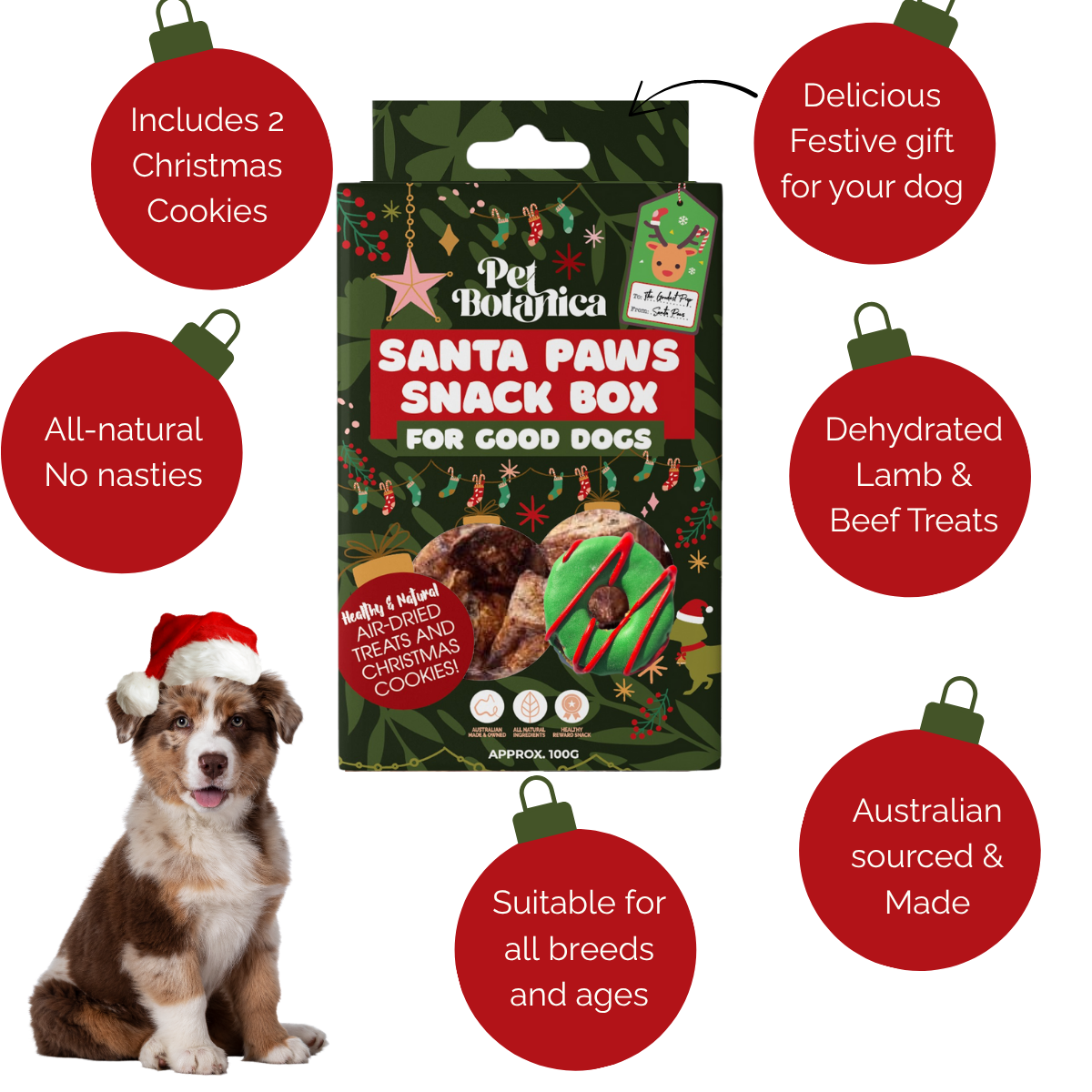 DOG TREATS | Pet Botanica - Santa Paws Snack Box
