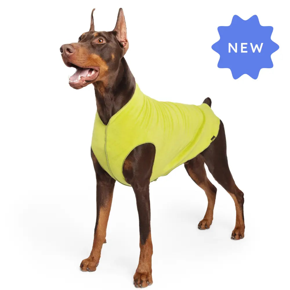 DOG STRETCH FLEECE | Goldpaw: Avocado