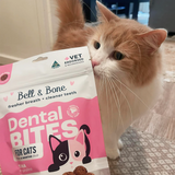 CAT TREATS | Bell & Bone Cat: Dental Bites - Tuna/Spirulina 80g