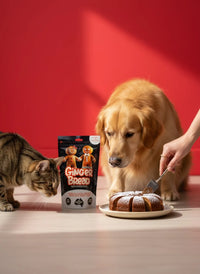 DOG TREATS L'Barkery: Gingerbread Cake Mix