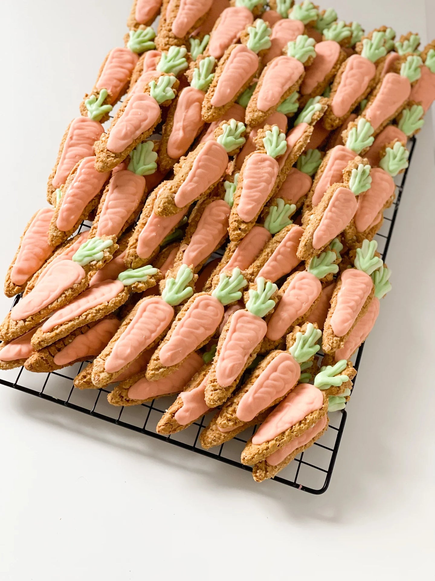 DOG TREATS | The Organic Dog Co: XL Easter Carrot (1 Pce)