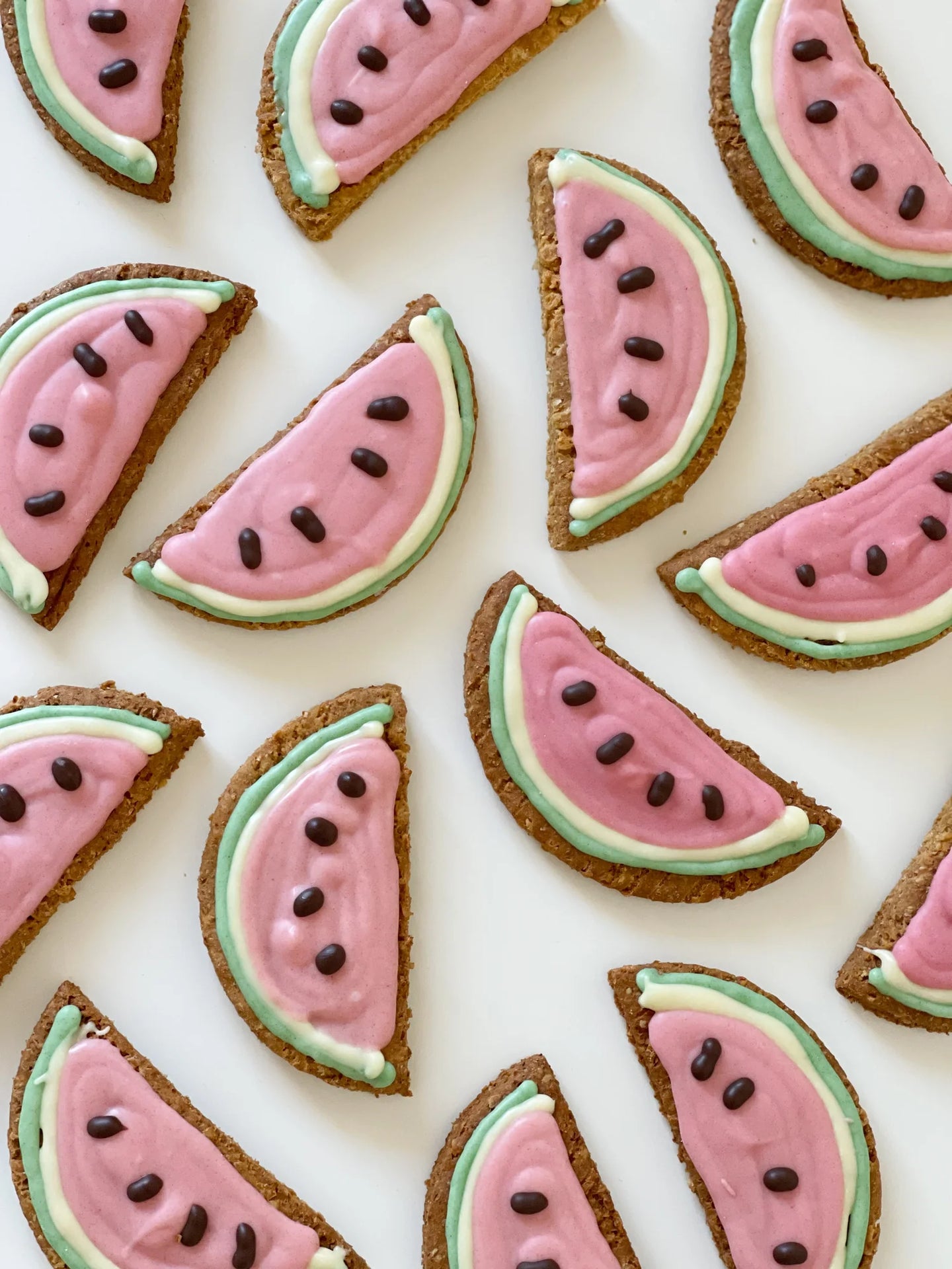 DOG TREATS |The Organic Dog Co: XL Watermelon