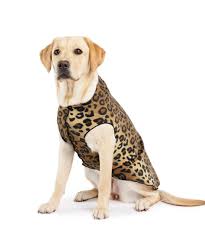 Goldpaw: DOG STRETCH FLEECE | Leopard (NEW!)
